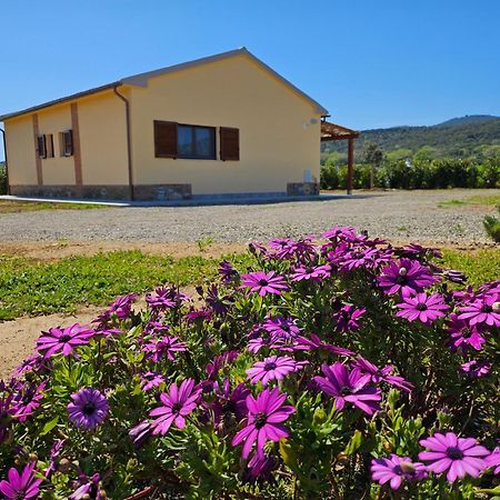 Agriturismo Fusini Magliano in Toscana Bagian luar foto