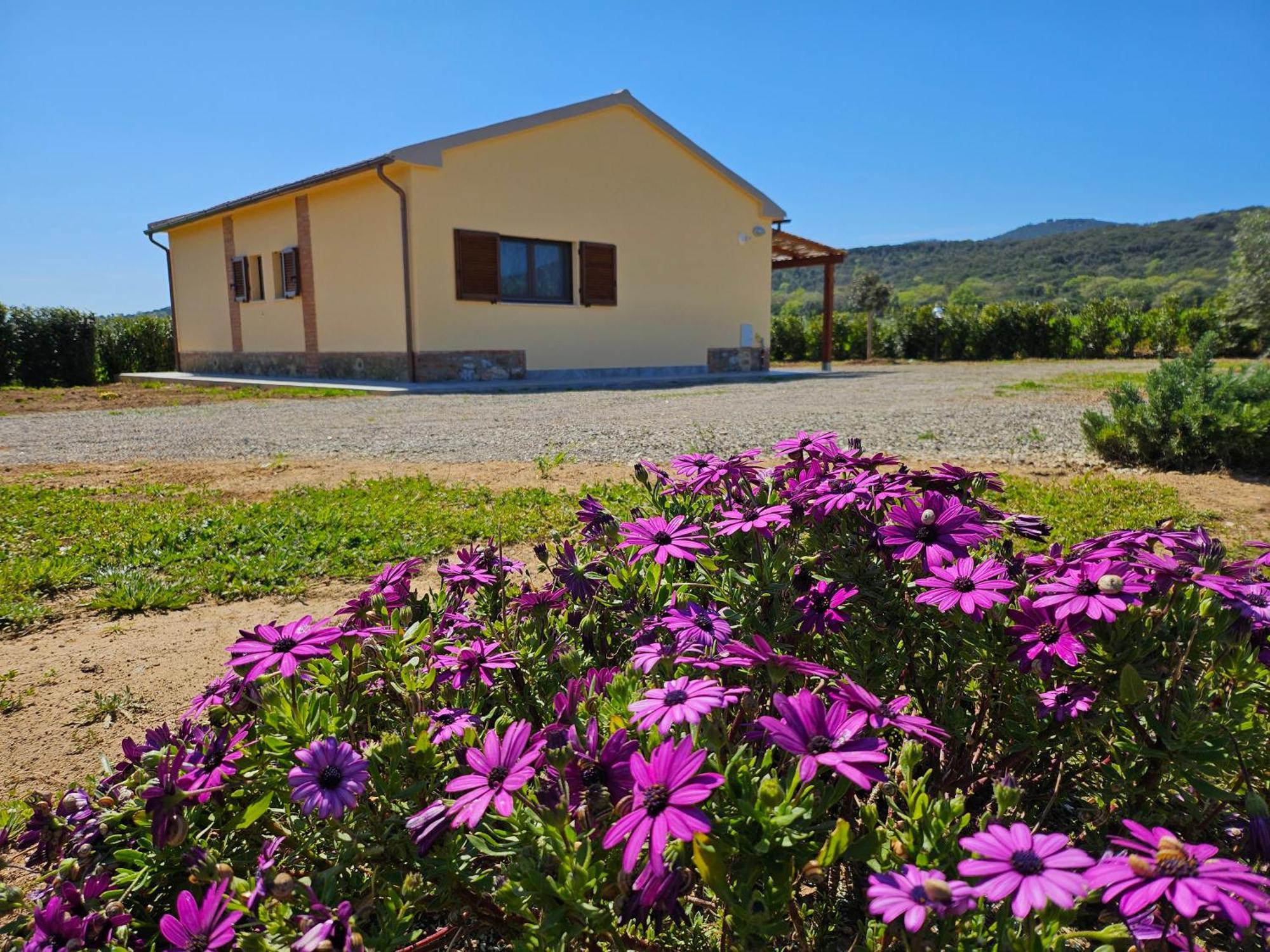 Agriturismo Fusini Magliano in Toscana Bagian luar foto