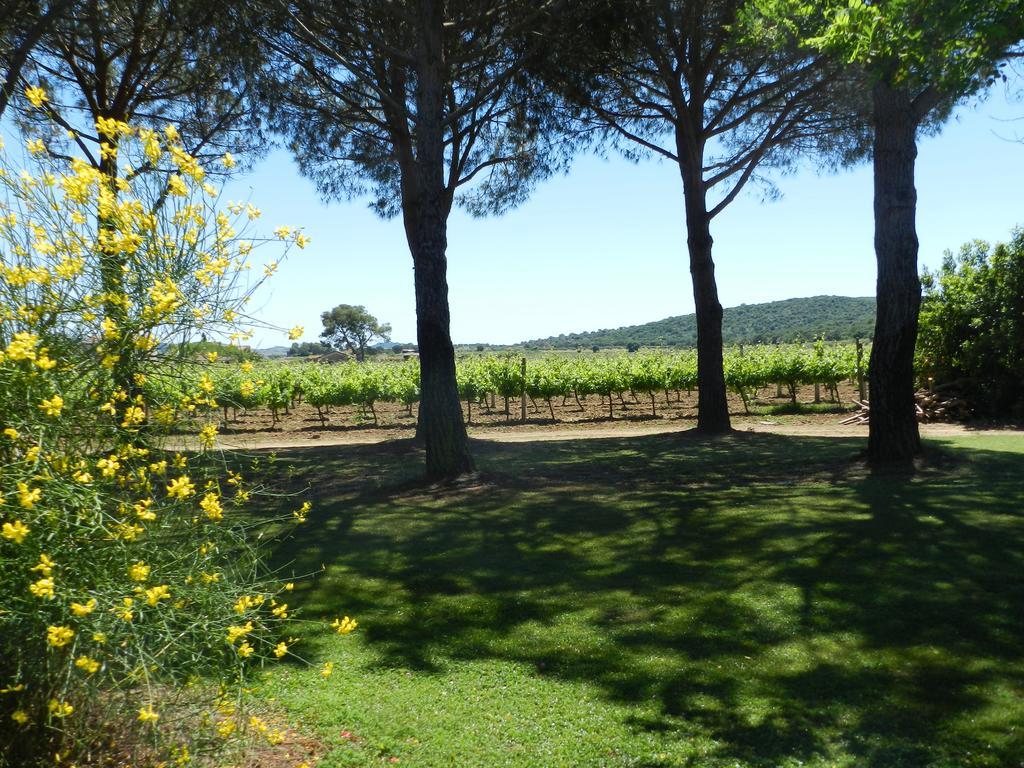 Agriturismo Fusini Magliano in Toscana Bagian luar foto