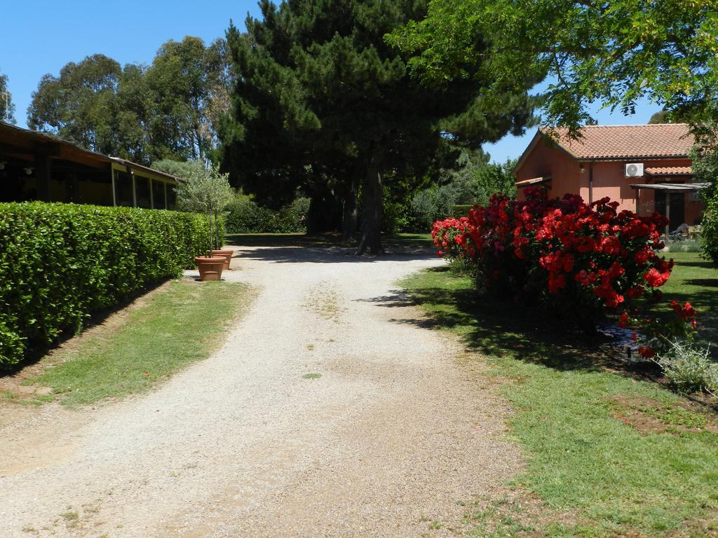 Agriturismo Fusini Magliano in Toscana Bagian luar foto