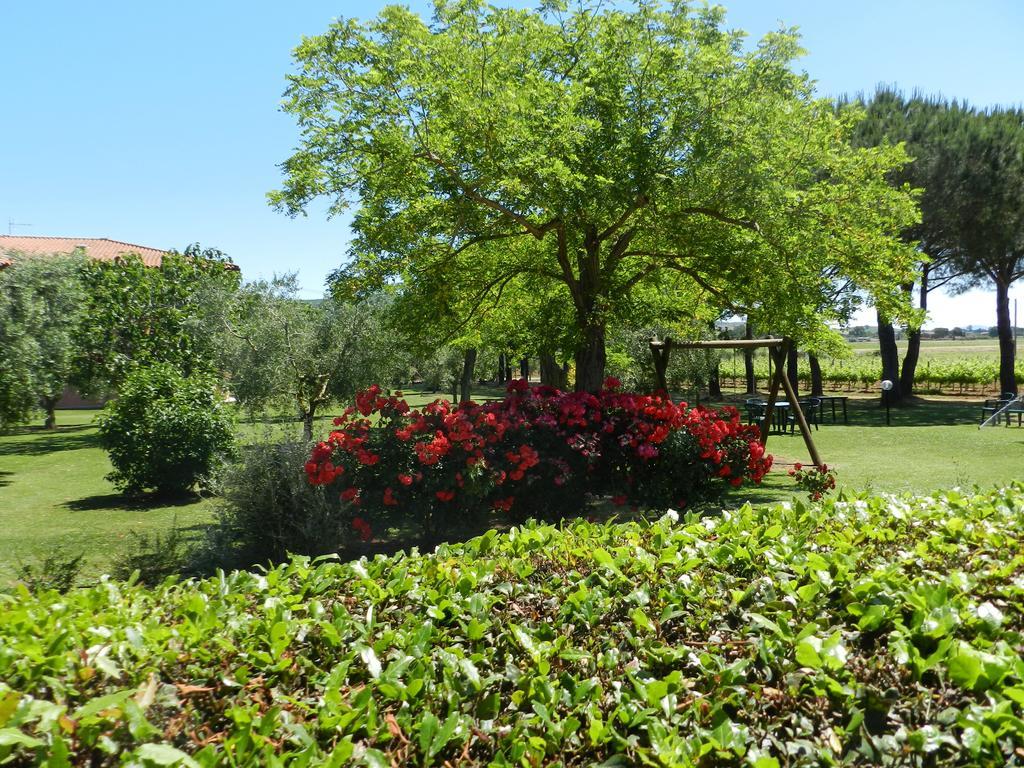 Agriturismo Fusini Magliano in Toscana Bagian luar foto