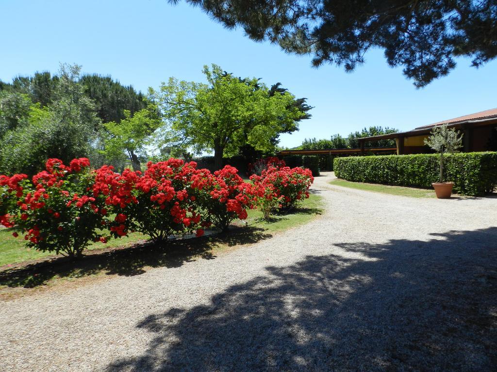 Agriturismo Fusini Magliano in Toscana Bagian luar foto