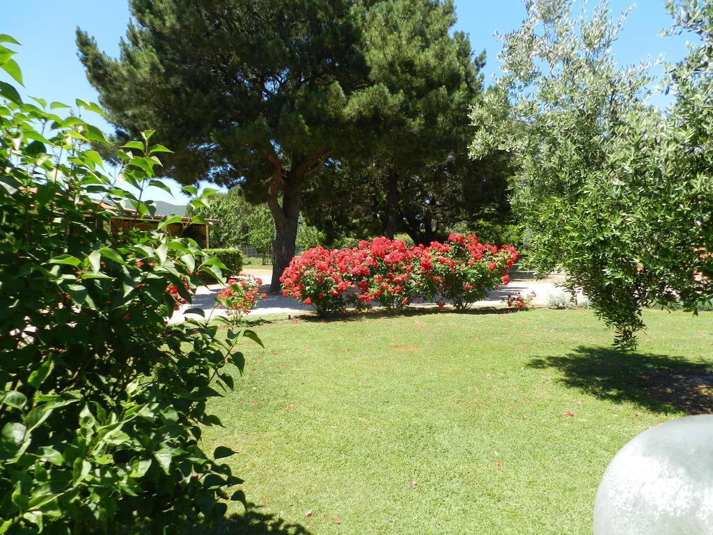 Agriturismo Fusini Magliano in Toscana Bagian luar foto