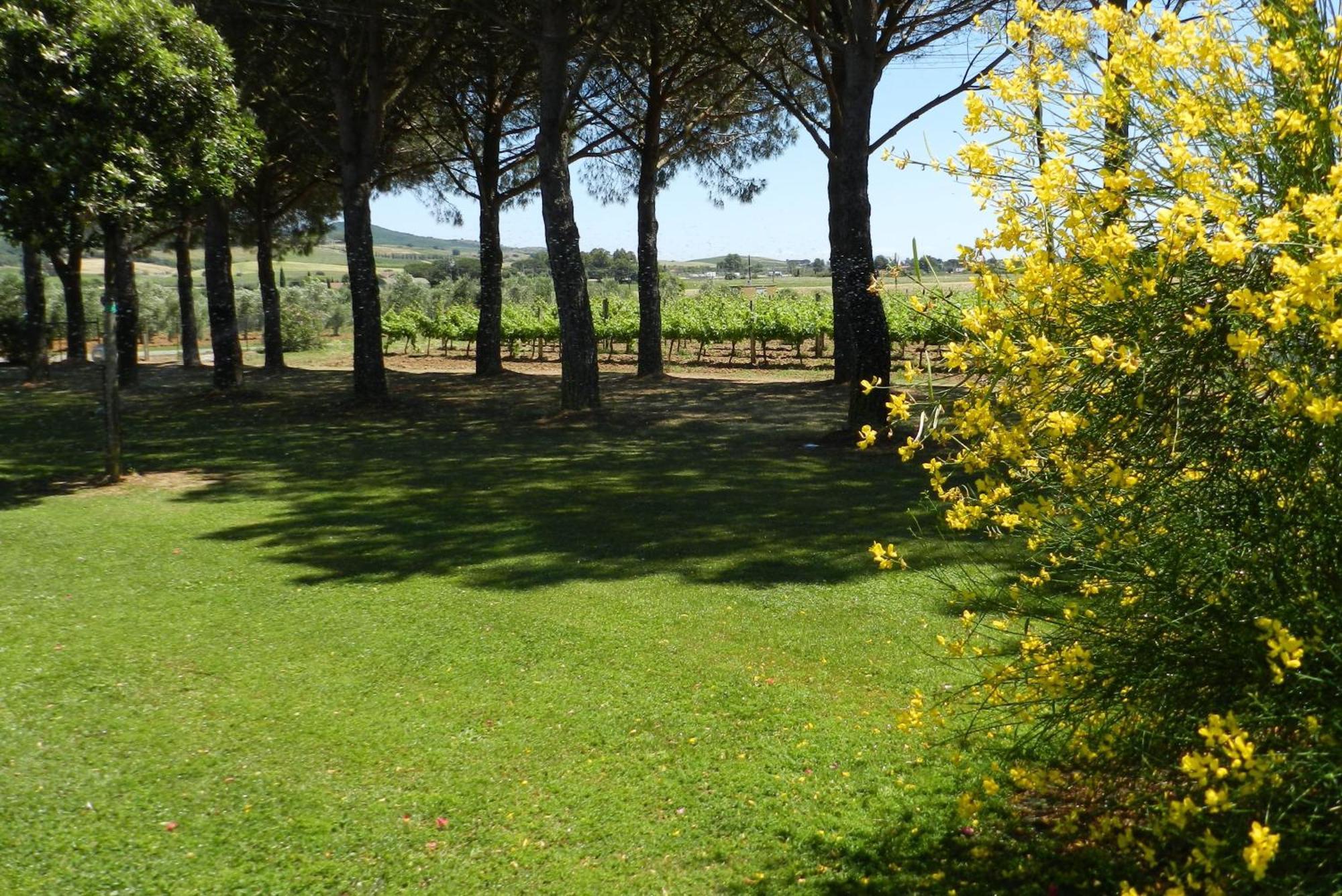 Agriturismo Fusini Magliano in Toscana Bagian luar foto