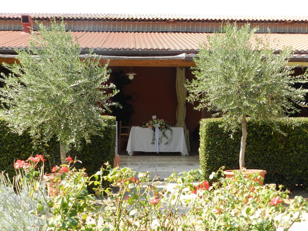 Agriturismo Fusini Magliano in Toscana Bagian luar foto