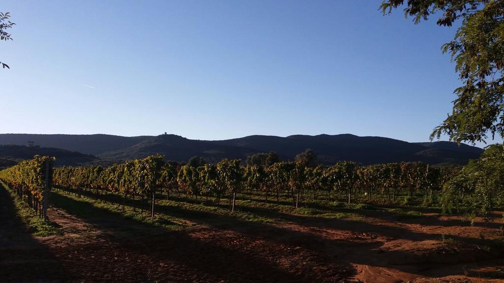 Agriturismo Fusini Magliano in Toscana Bagian luar foto