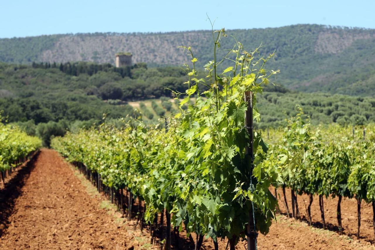 Agriturismo Fusini Magliano in Toscana Bagian luar foto