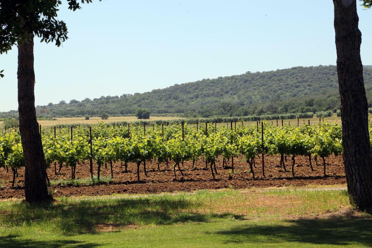 Agriturismo Fusini Magliano in Toscana Bagian luar foto