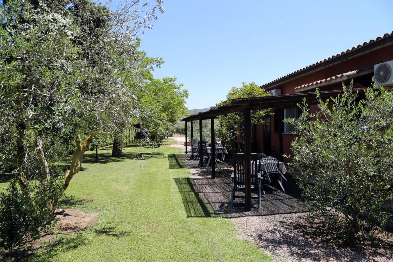 Agriturismo Fusini Magliano in Toscana Bagian luar foto